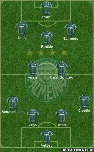 SE Palmeiras Formation 2024