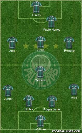 SE Palmeiras Formation 2024