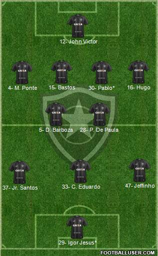 Botafogo FR Formation 2024