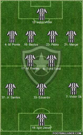 Botafogo FR Formation 2024