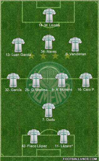 SE Palmeiras Formation 2024