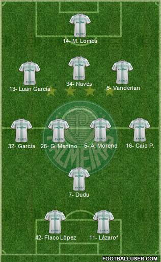 SE Palmeiras football formation