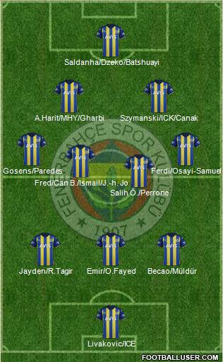 Fenerbahçe SK Formation 2024