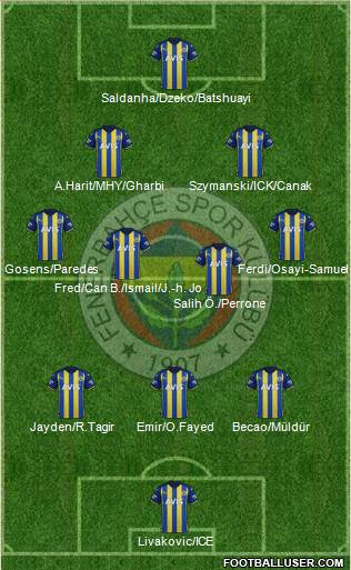 Fenerbahçe SK football formation