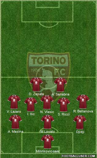 Torino Formation 2024