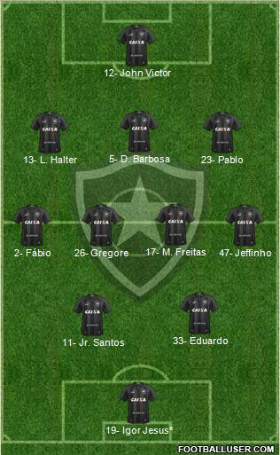 Botafogo FR Formation 2024