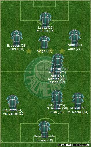 SE Palmeiras Formation 2024