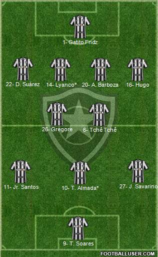 Botafogo FR Formation 2024