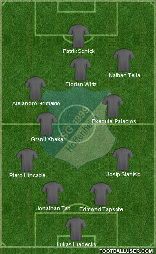 TSG 1899 Hoffenheim Formation 2024