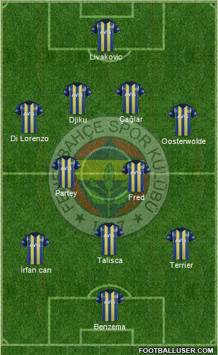 Fenerbahçe SK Formation 2024
