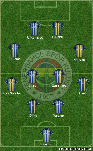 Fenerbahçe SK Formation 2024