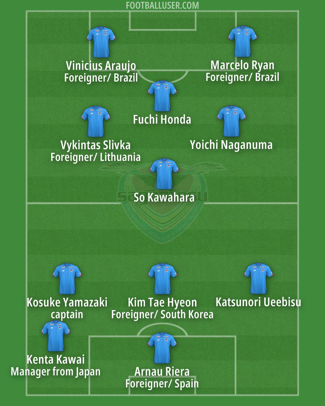 Tosu Formation 2024