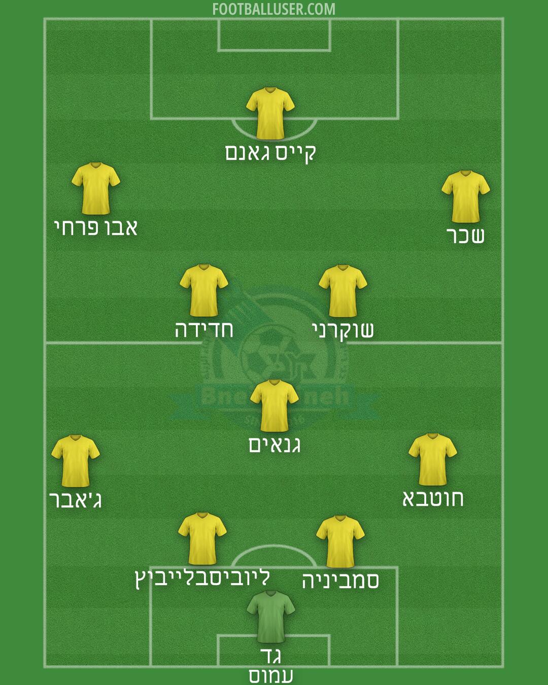 Bnei Reineh Formation 2024