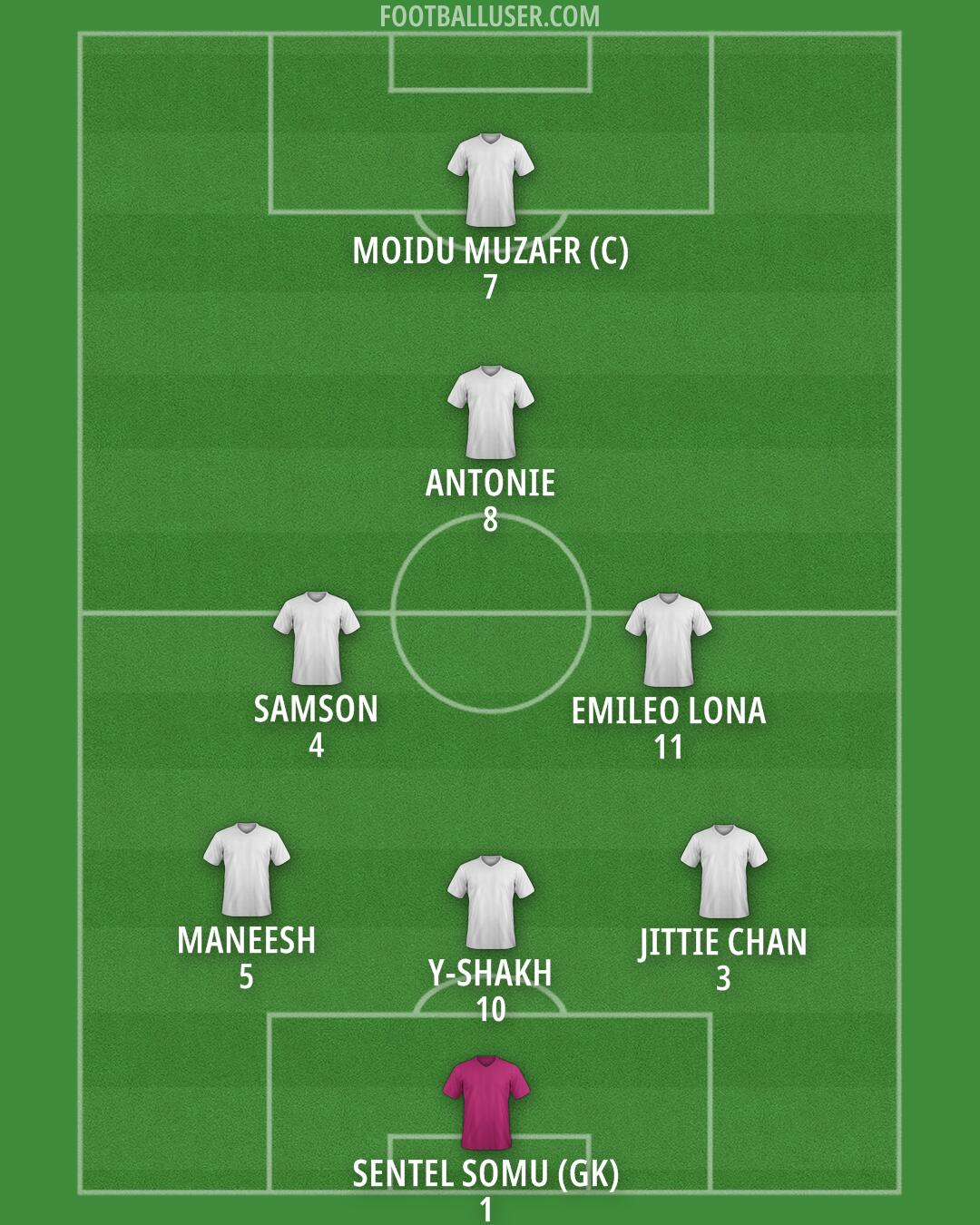 Custom Team Formation 2024