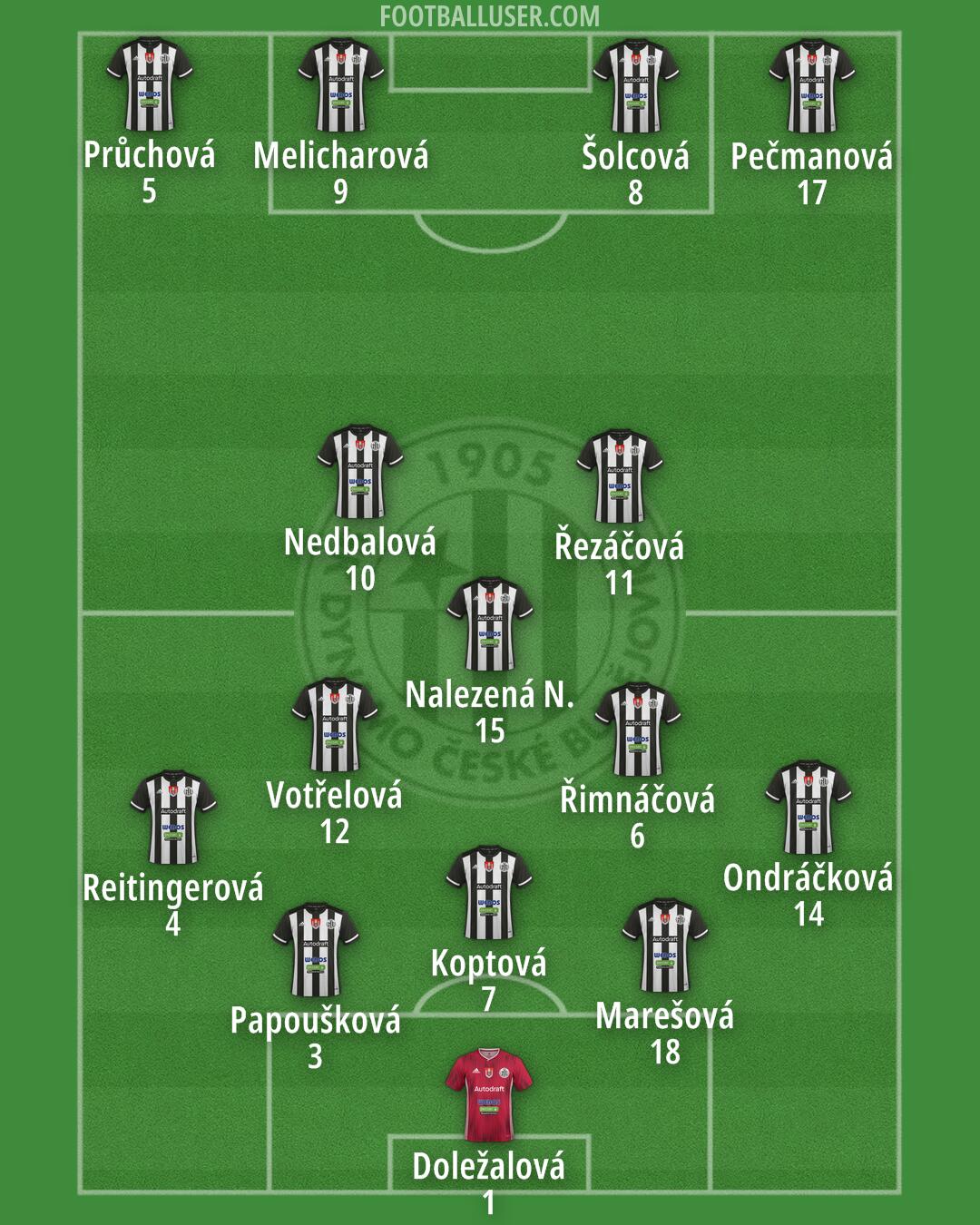 Ceské Budejovice Formation 2025