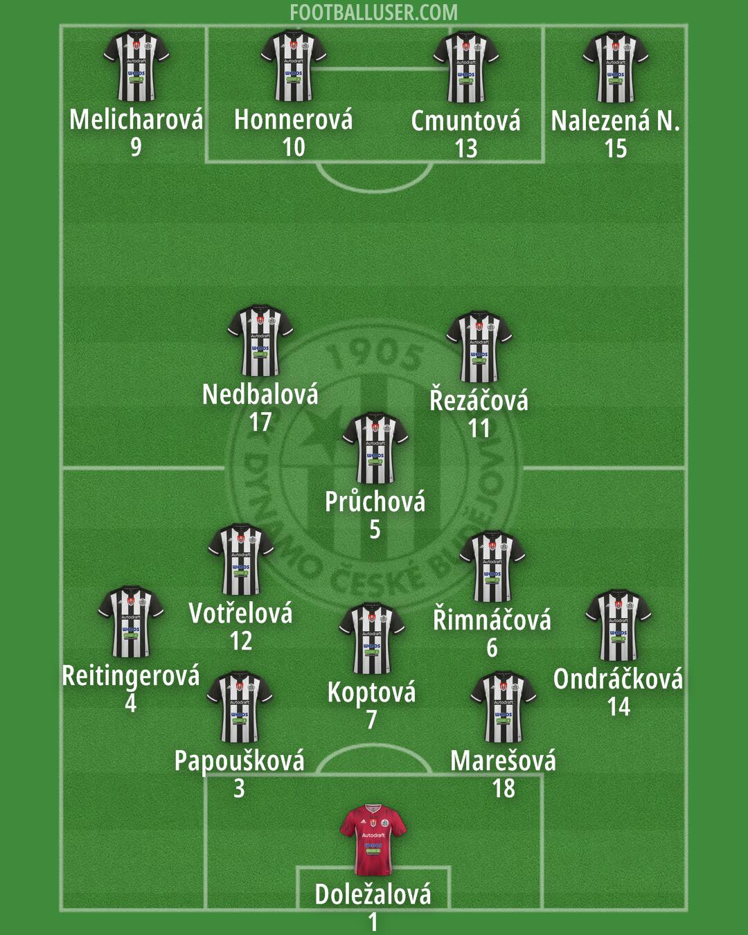 Ceské Budejovice Formation 2025