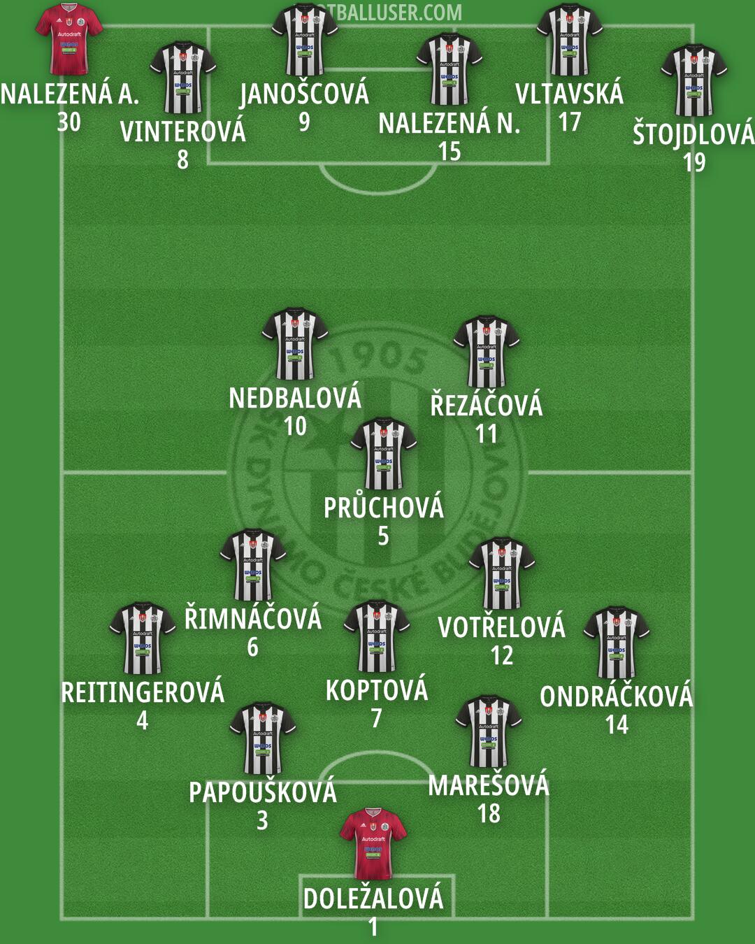 Ceské Budejovice Formation 2025