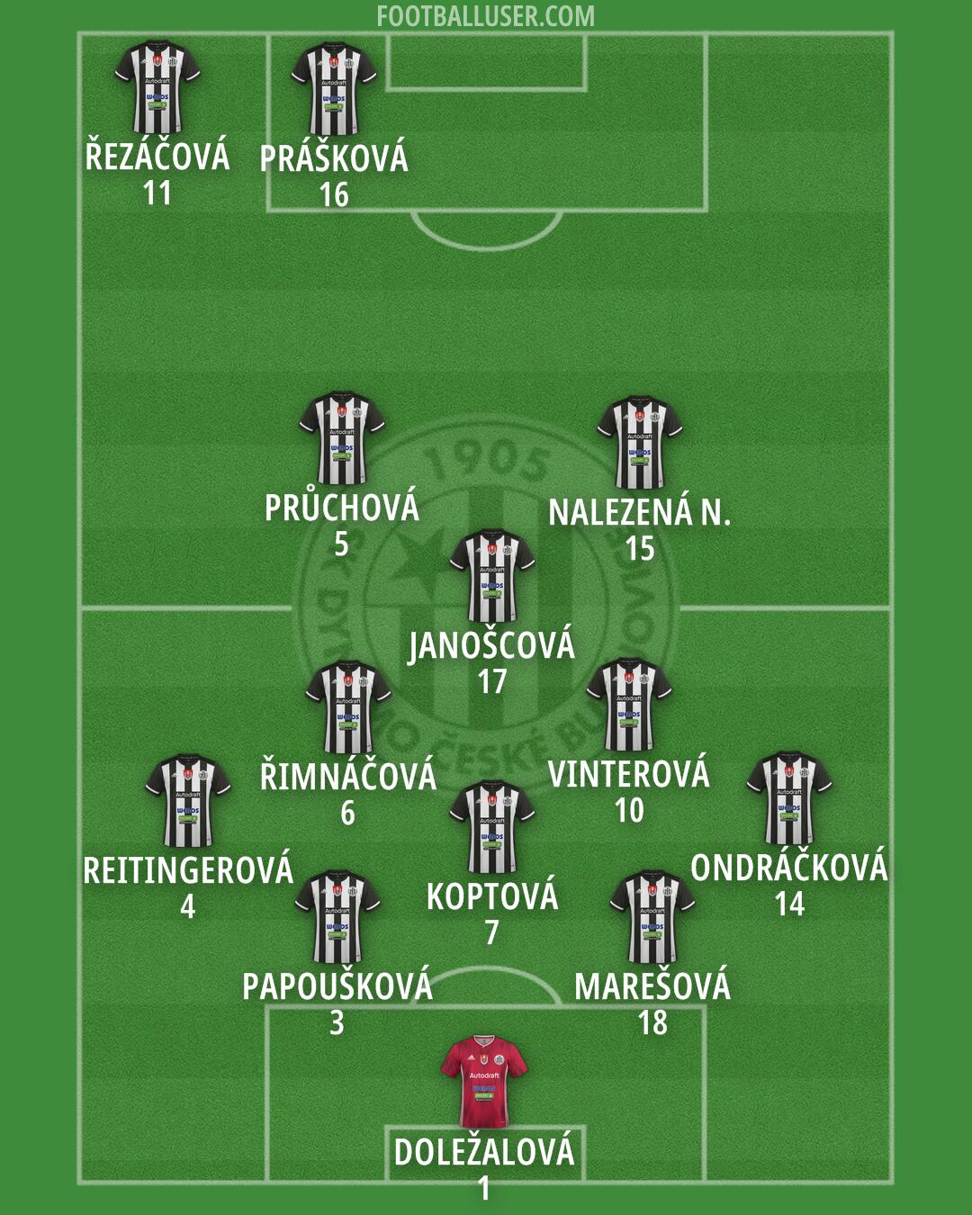 Ceské Budejovice Formation 2025