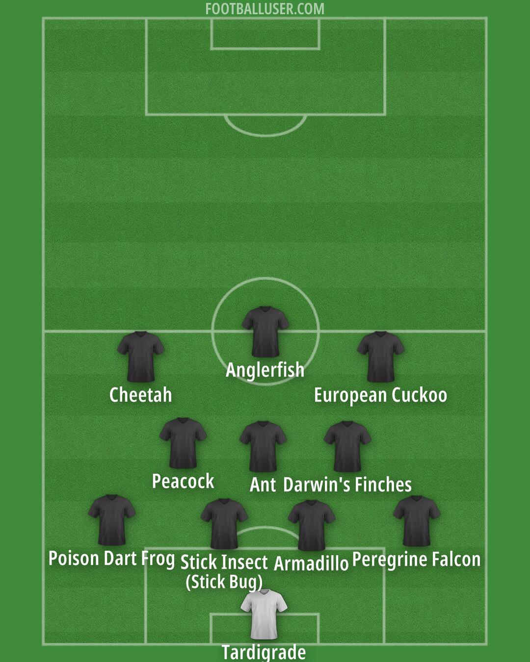 Custom Team Formation 2026