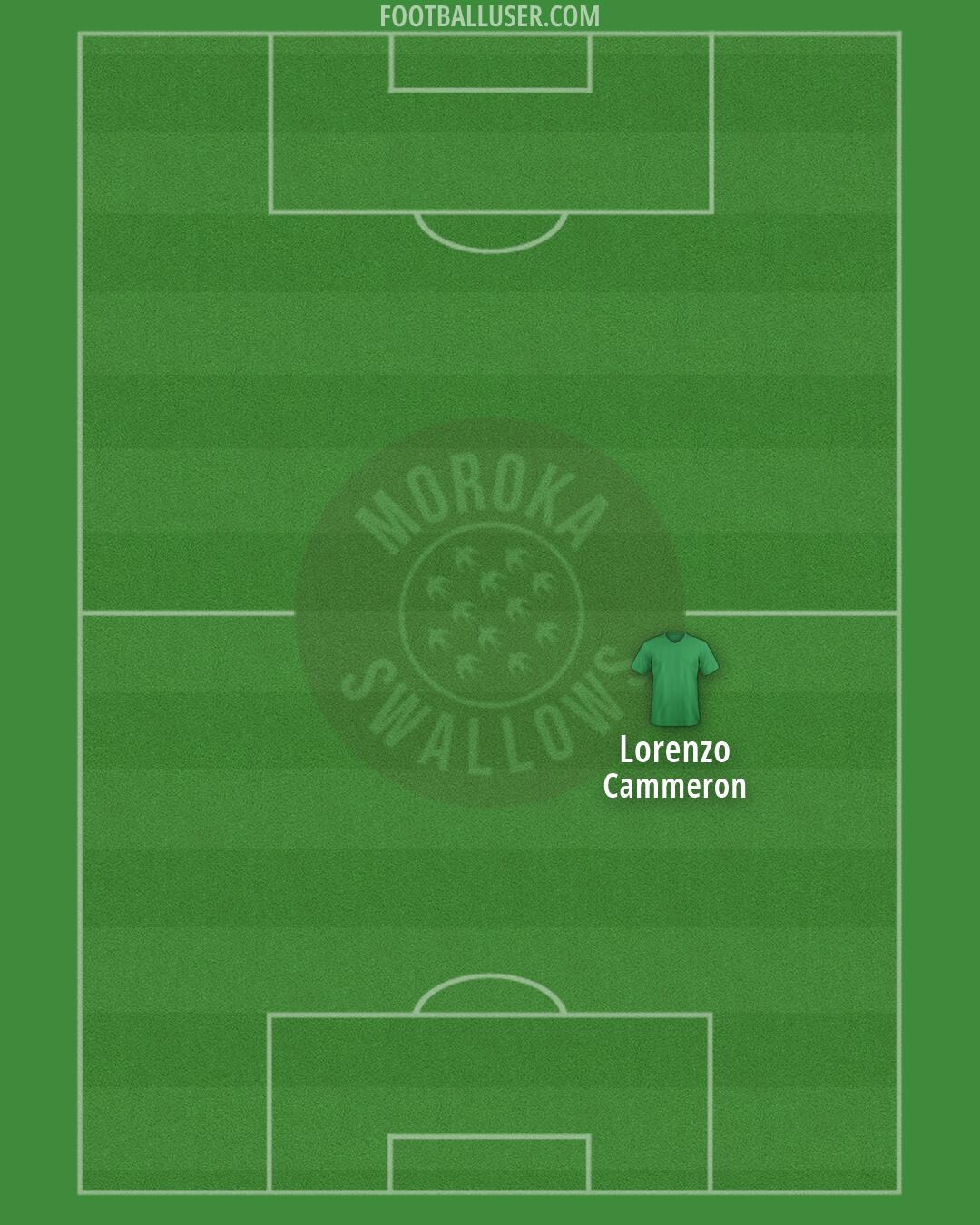 Swallows Formation 2026