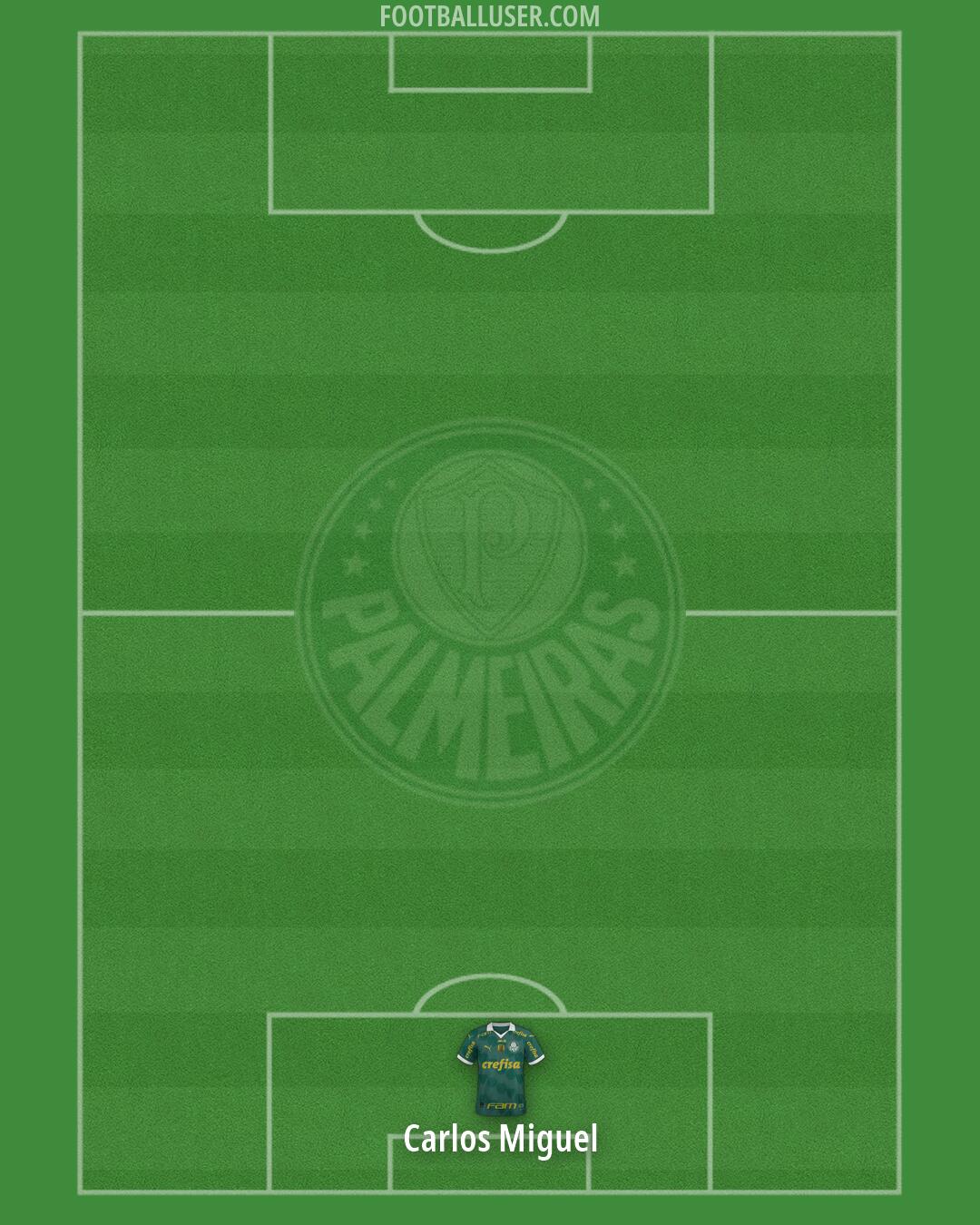 Palmeiras Formation 2026