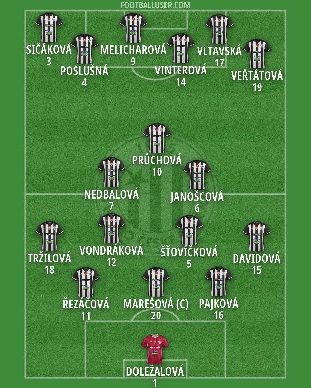 Ceské Budejovice Formation 2026